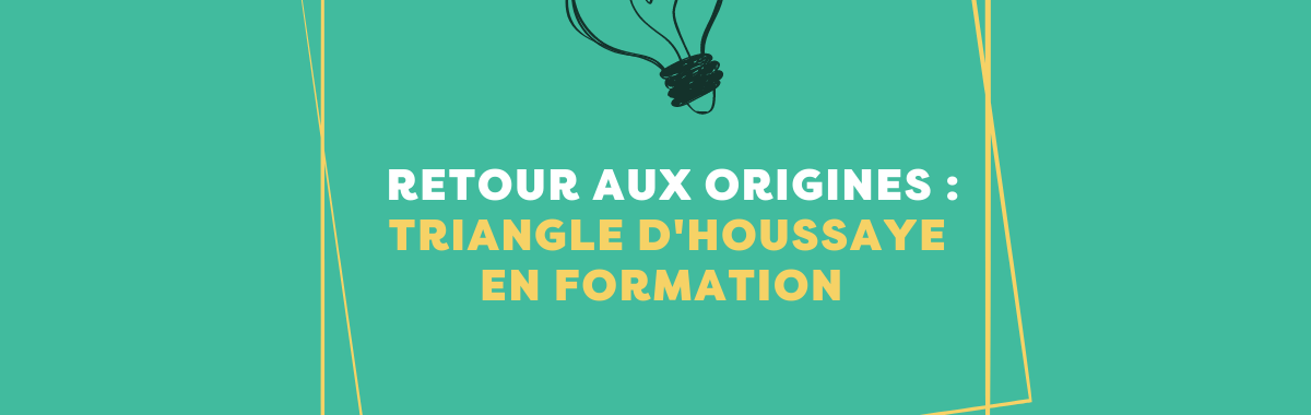 Triangle d'Houssaye : les postures d'animation de formation